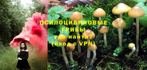 амфетамин Алексин